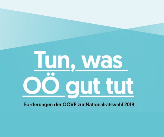 Button_Wahlprogramm.jpg